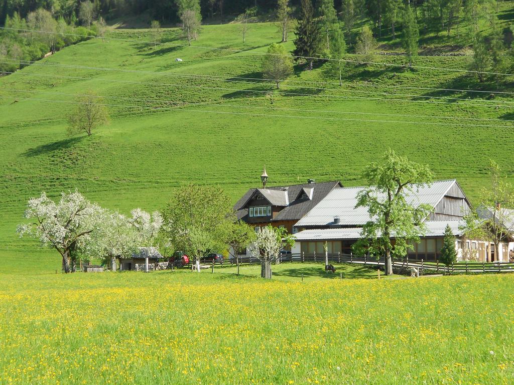 Weitgasserhof Schladming Dış mekan fotoğraf