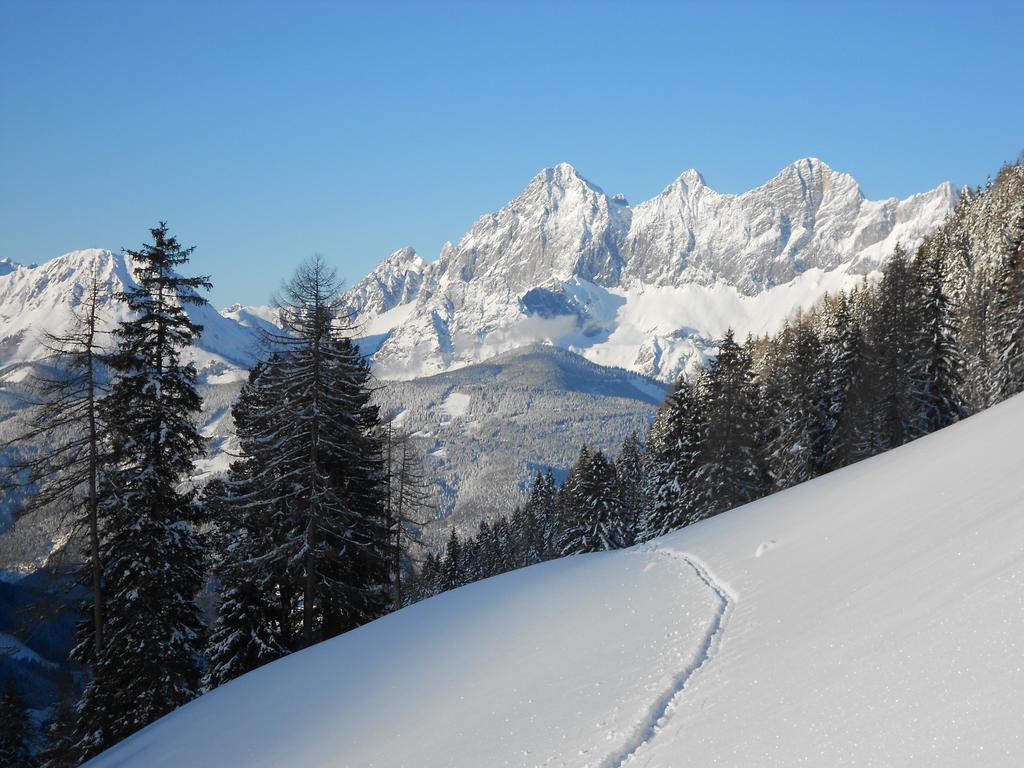 Weitgasserhof Schladming Dış mekan fotoğraf