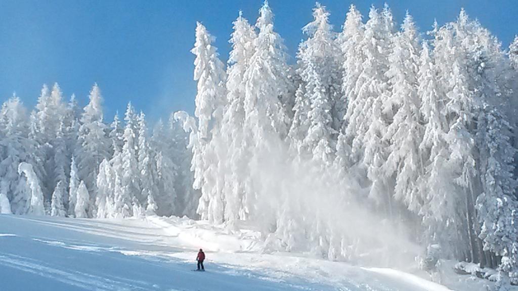 Weitgasserhof Schladming Dış mekan fotoğraf
